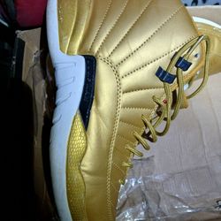 Air Jordan 12 Pinnacle Sz 10
