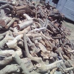  Burning Wood