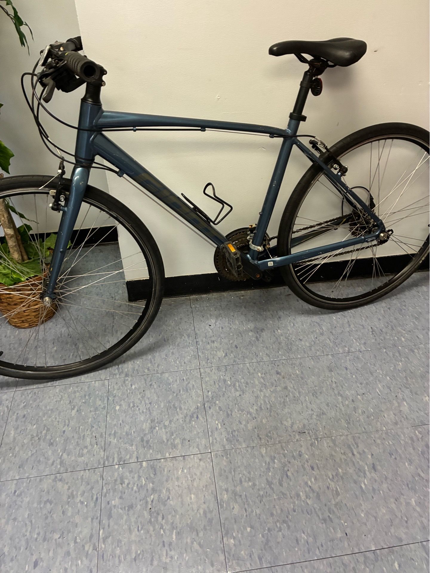 Bike Giant scape everything works
