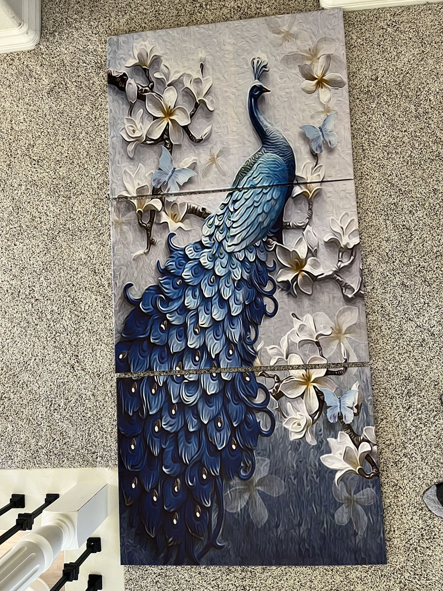 Peacock Canvas Art