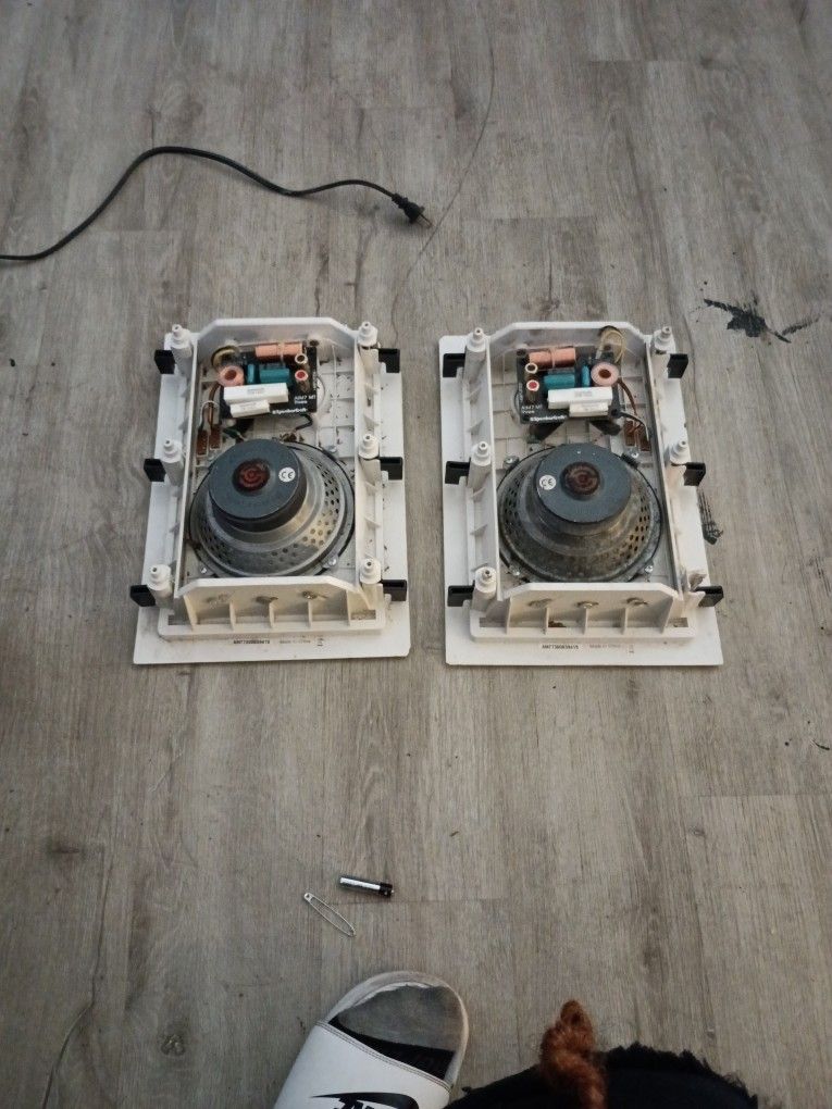 Amplifier Speaker
