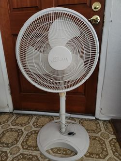 Fan