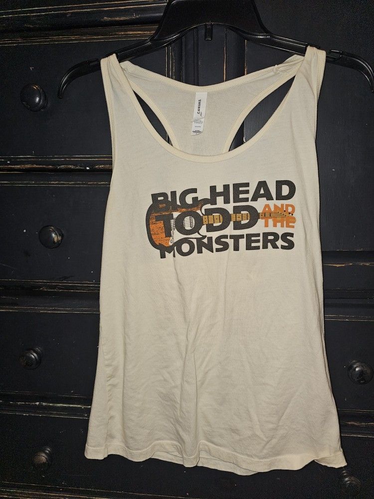 BIG HEAD TODD AND THE MONSTERS