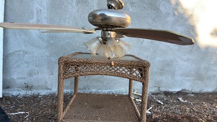 Ceiling fan