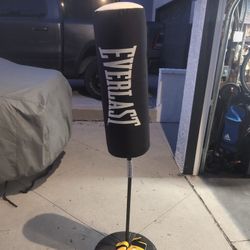Children's Everlast Punching Bag On Stand, With Gloves