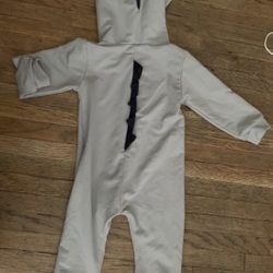 Dinosaur Outfit
