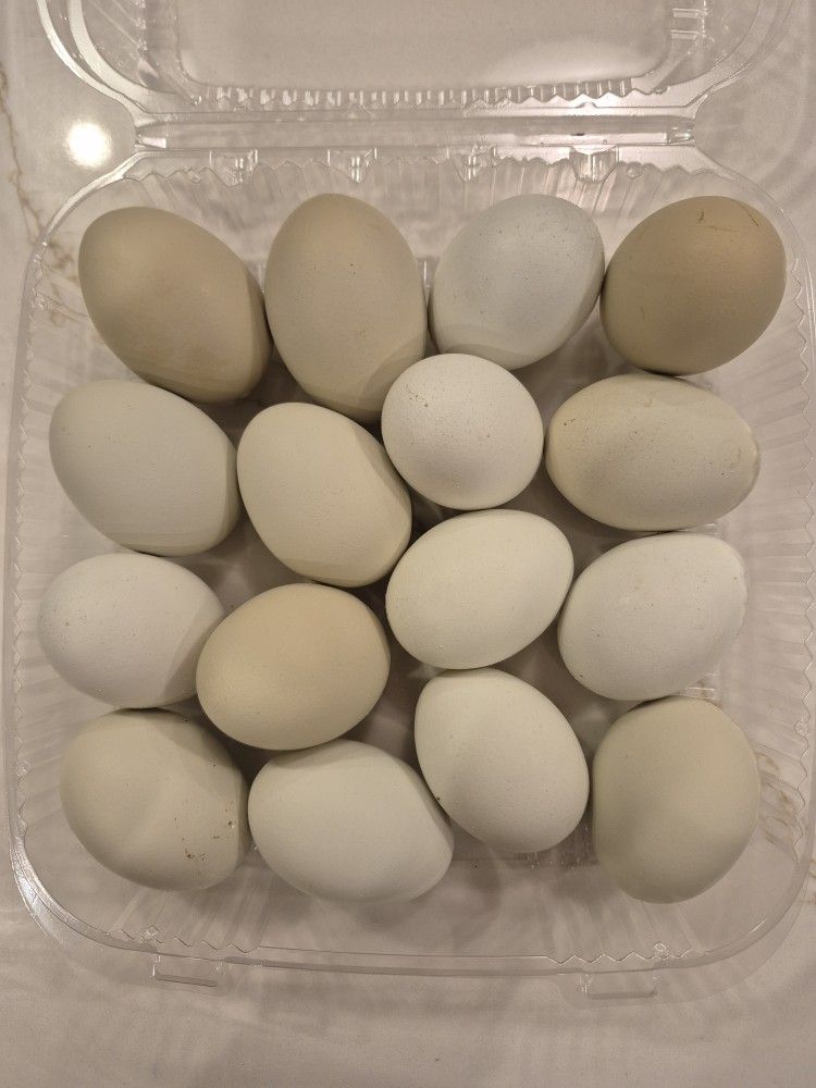 Farm Fresh Eggs, 16pk
