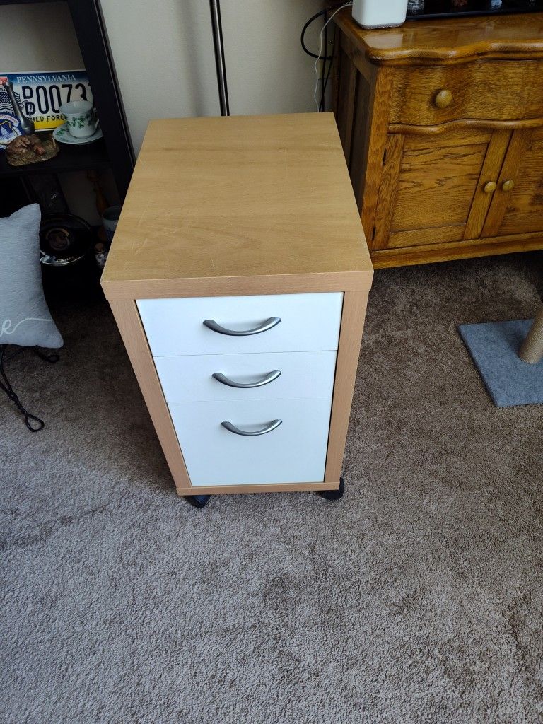 ($20) Filing Cabinet On Wheels