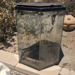 Octagon Tall Terrarium With Mesh Lid