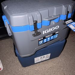 Igloo