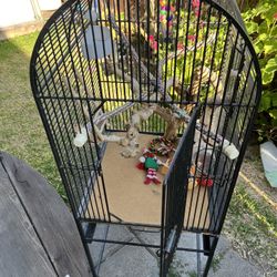 Bird Cage 