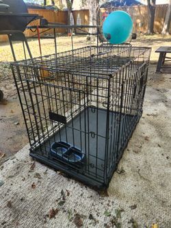 Dog Kennel