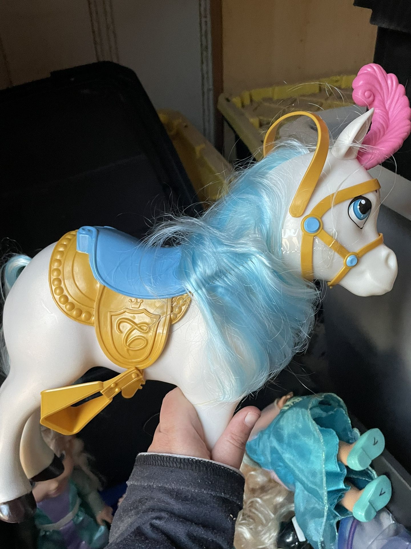 Cinderellas Horse