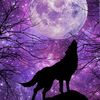 Purple Moon LLC