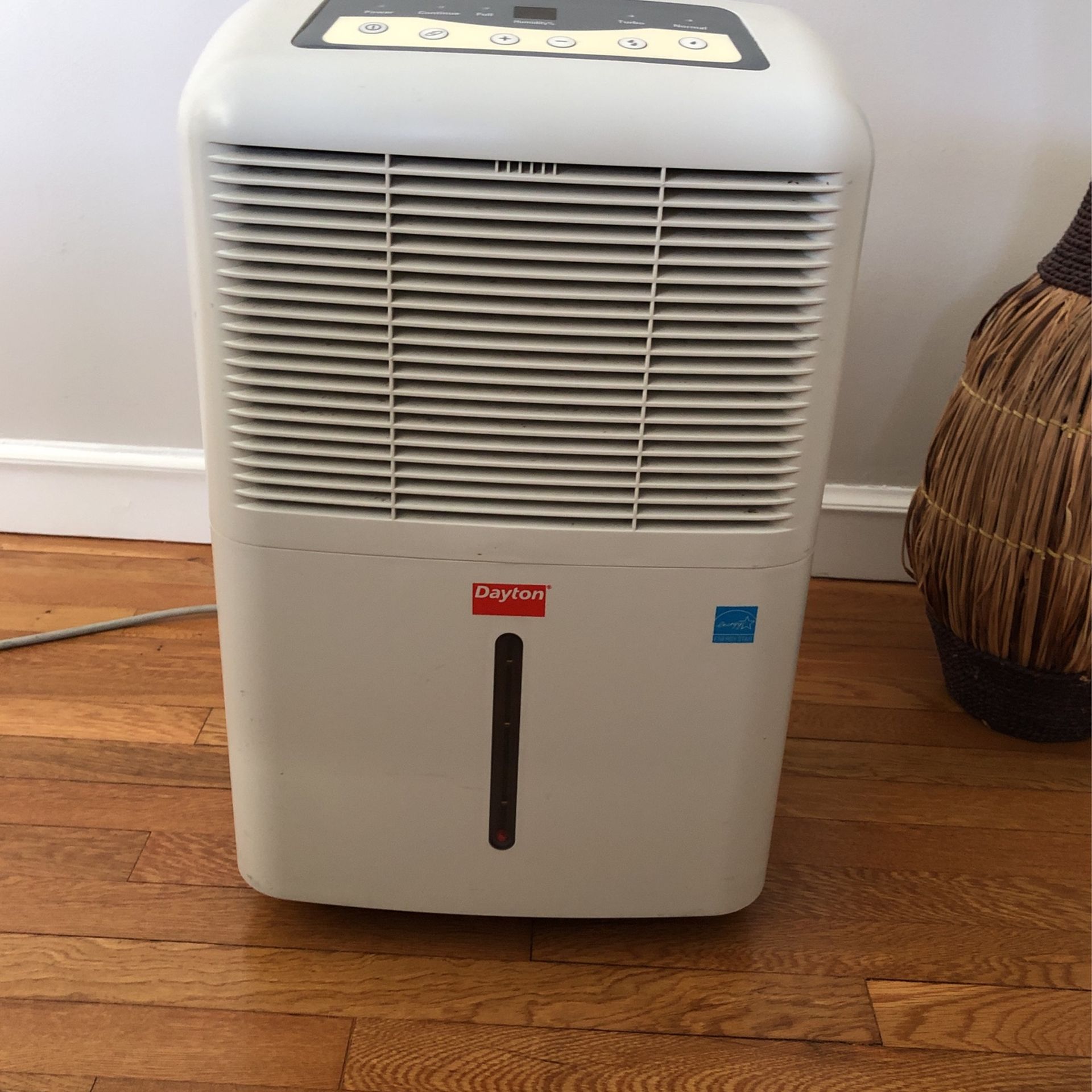 Dayton Dehumidifier
