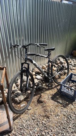 Schwinn cruiser bike