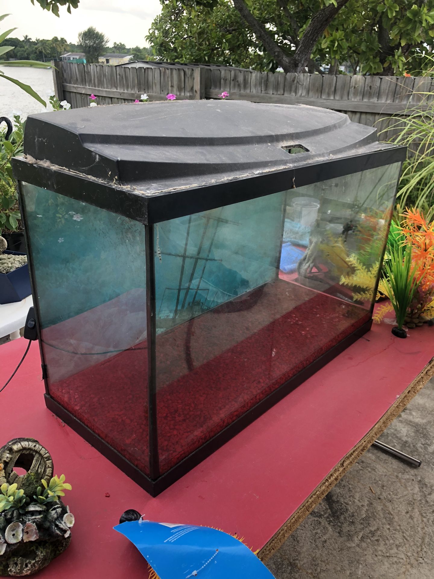 Fish tank