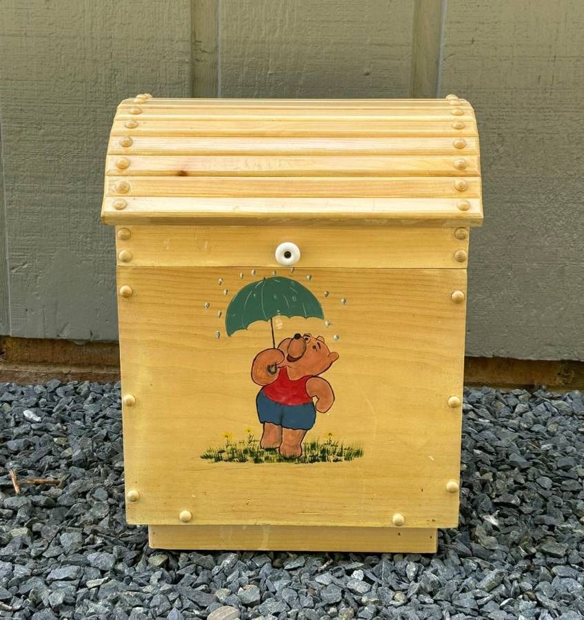 Small Wood Kids Toy Chest Storage Box Accent Decor