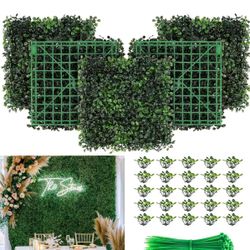 Boxwood Squares
