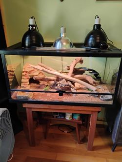 40 Gal Reptile Cage Full Setup