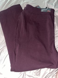 Avenue Super Stretch Straight Leg Pants