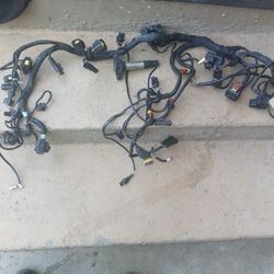1999 Aprilia Wiring Harness 99 -03