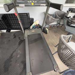 Little Gym And Treadmill