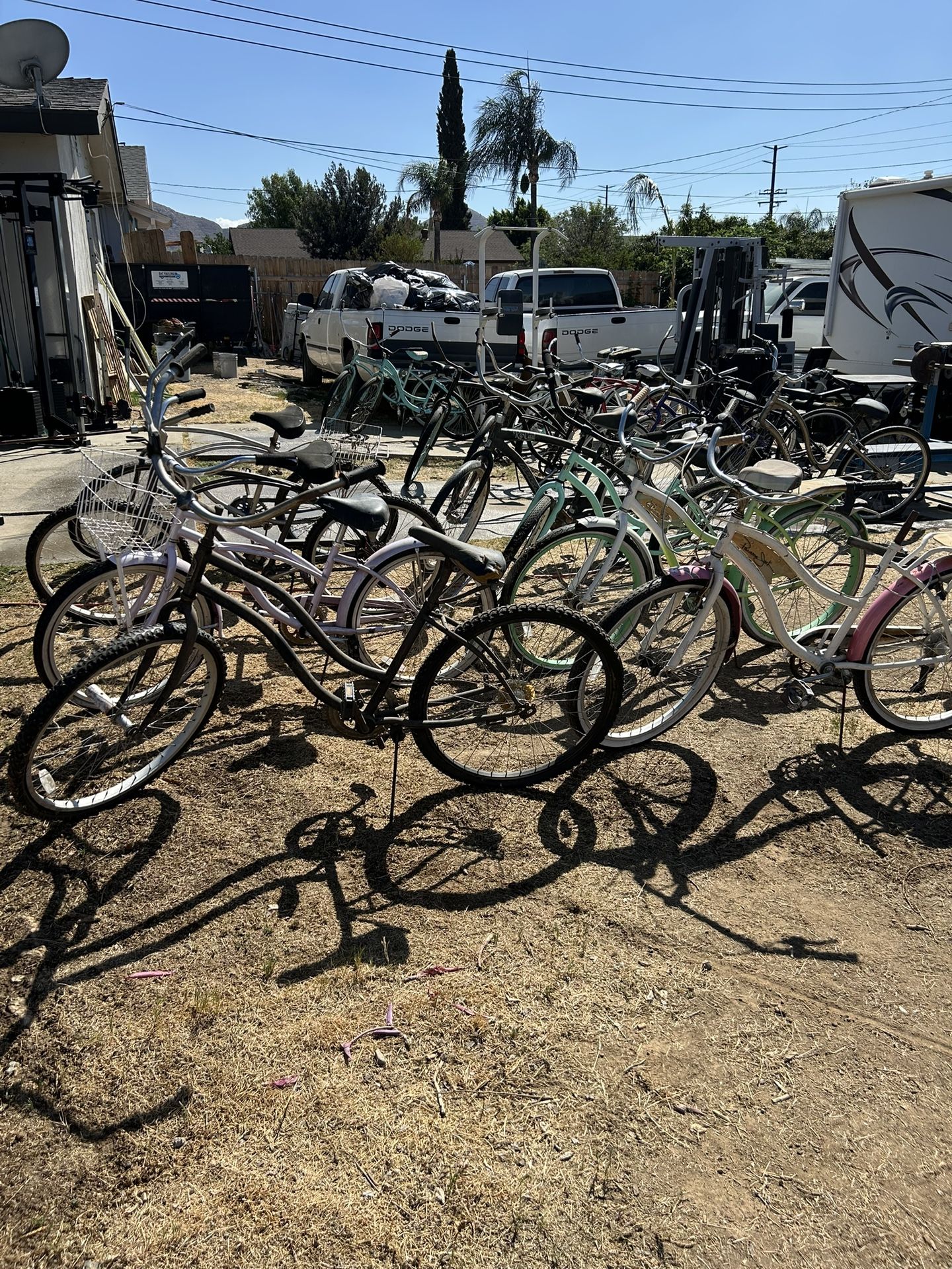 Beach Cruisers
