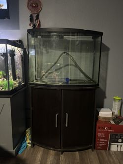 Fish Tank