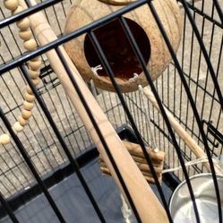 Birdcage For Small Birds And Large Birds Everything Has Been Cleaned Also Has A House For Breeding Need Gone ASAP
