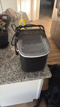 Ice maker