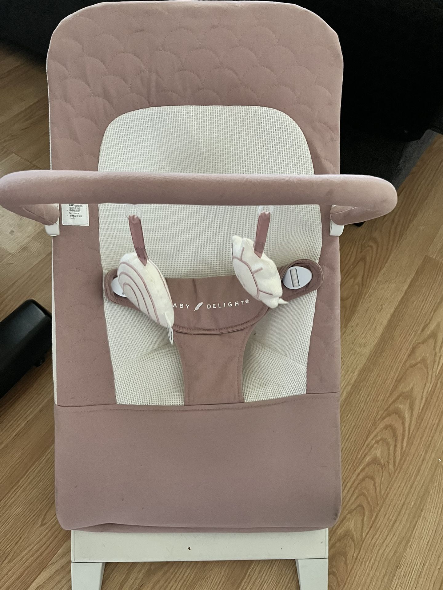 Baby delight bouncer