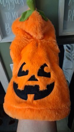 Halloween Pumpkin Pet Costume