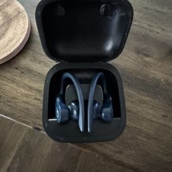 Beat Powerbeats Pro Earbuds 