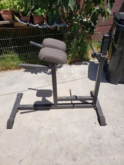 Roman chair. Back extension workout. Gym