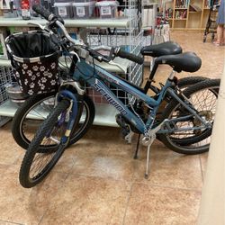 Schwinn Bicycle 