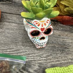 Skull Succulent Pot 