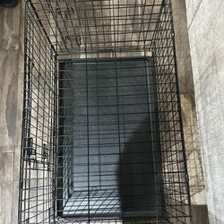 Dog  Kennel