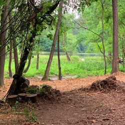 4.2 acrees 3 lots frankston tx