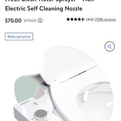 Toilet bidet (TUSHY) 