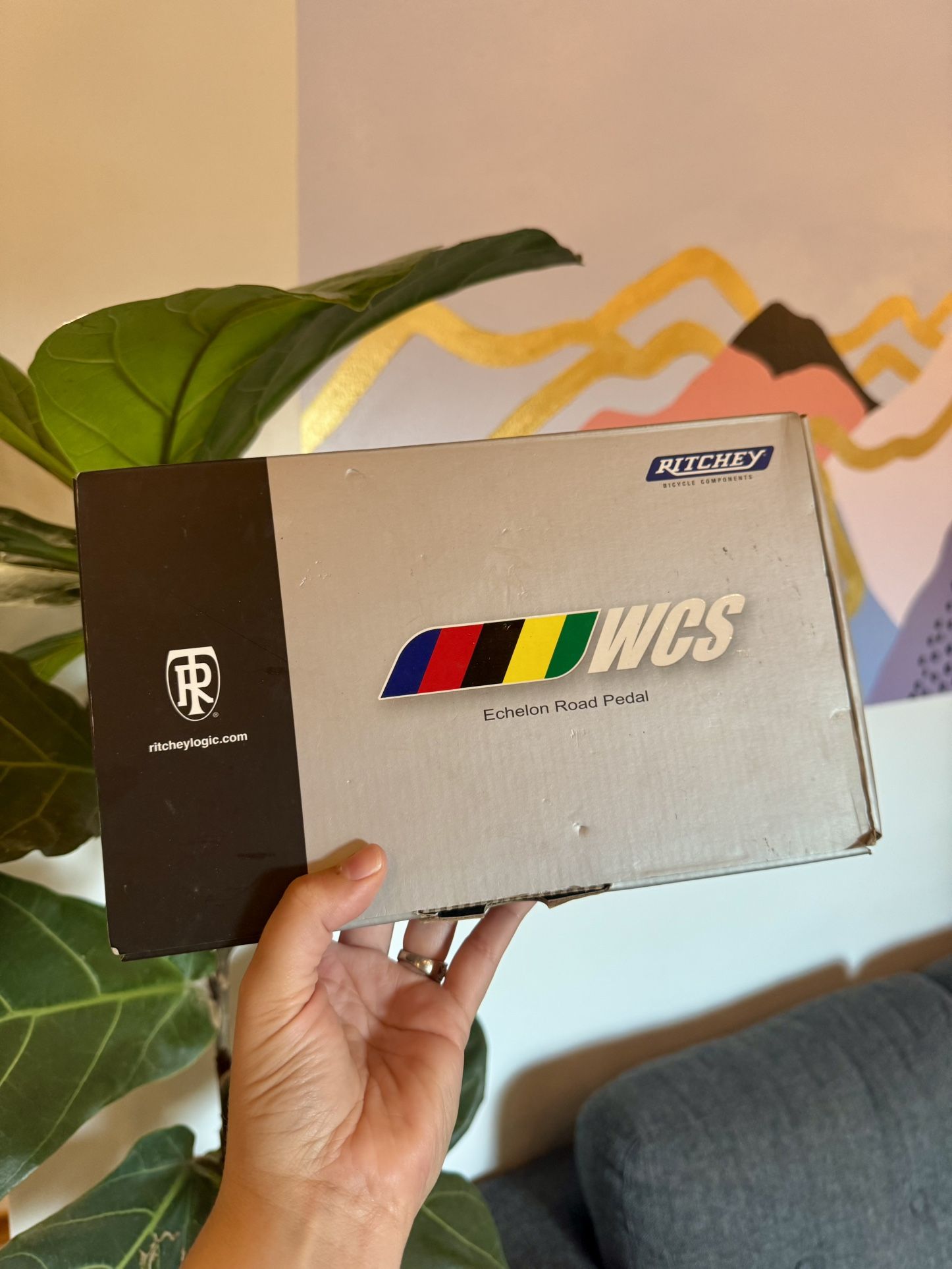 Ritchey WCS Echelon Road Pedal Set & Cleats