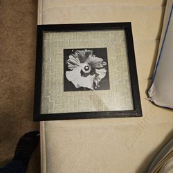 Picture  Of Flower 