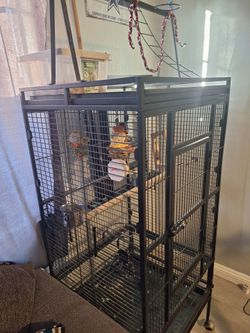 Large bird cage