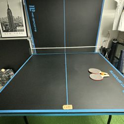 Ping Pong Table