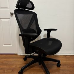 Ergonomic Office Chair