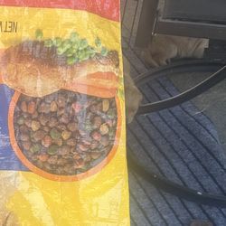 Dog Food