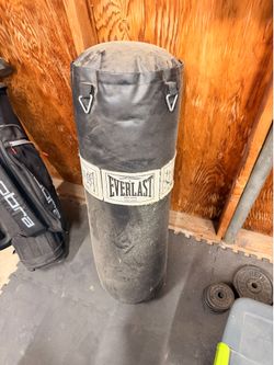 Punching Bag
