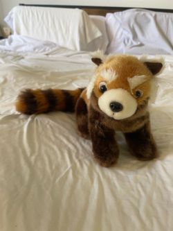 Red panda