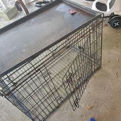 Big Dog Cage