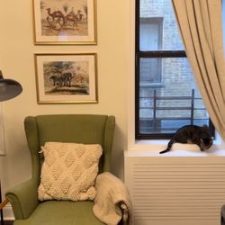 Green IKEA Strandmon & Ottoman 